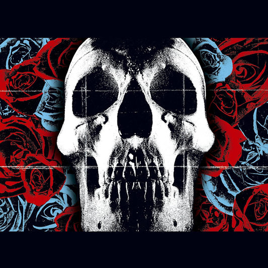 Deftones - Deftones vinyl album cover