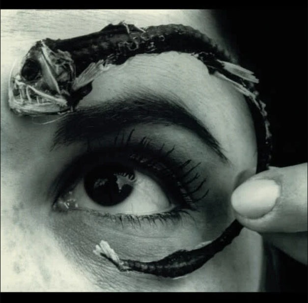 Mr. Bungle - Disco Volante vinyl album cover