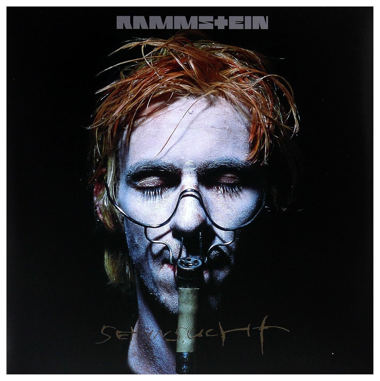 Rammstein - Sehnsucht vinyl album cover