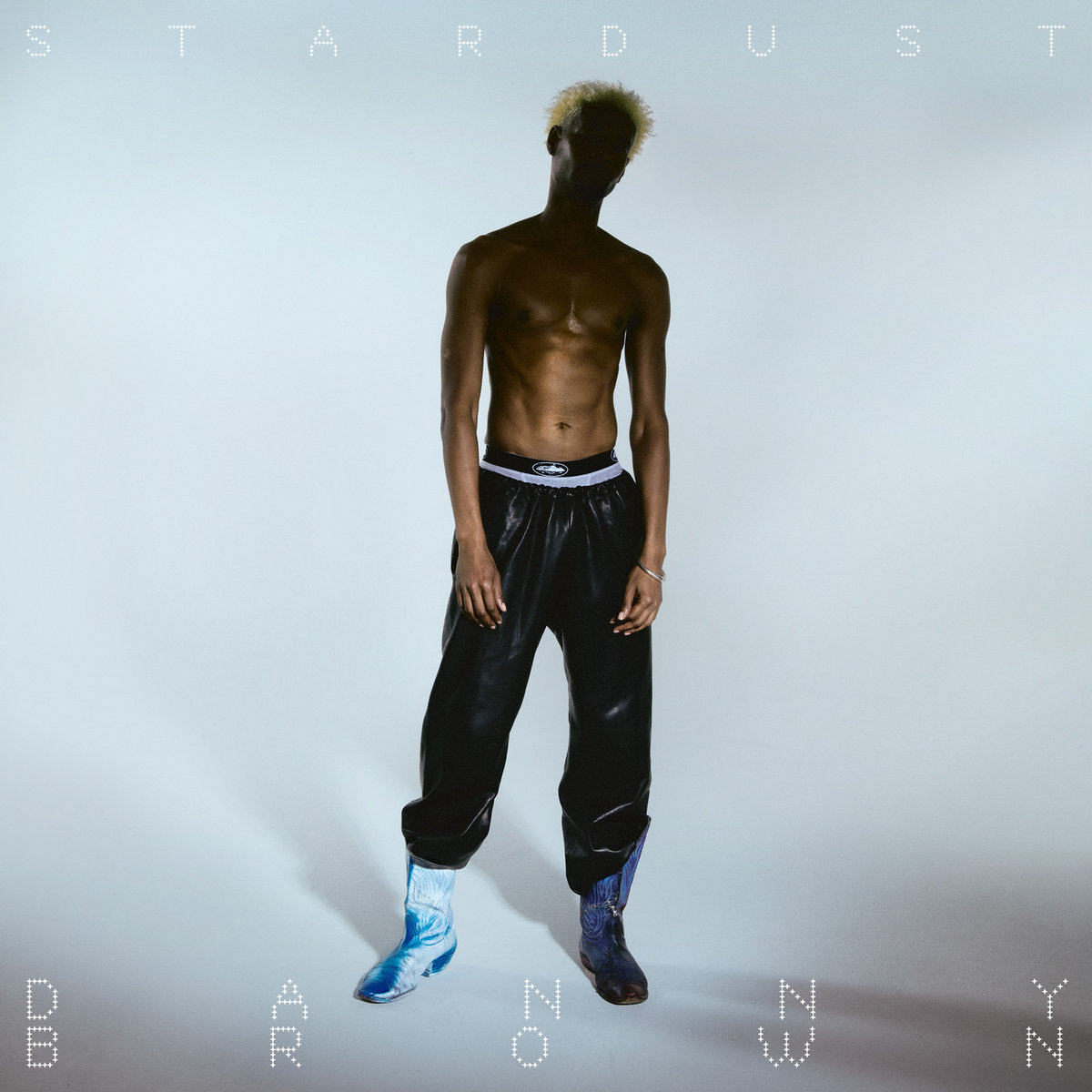 Danny Brown - Stardust vinyl album cover