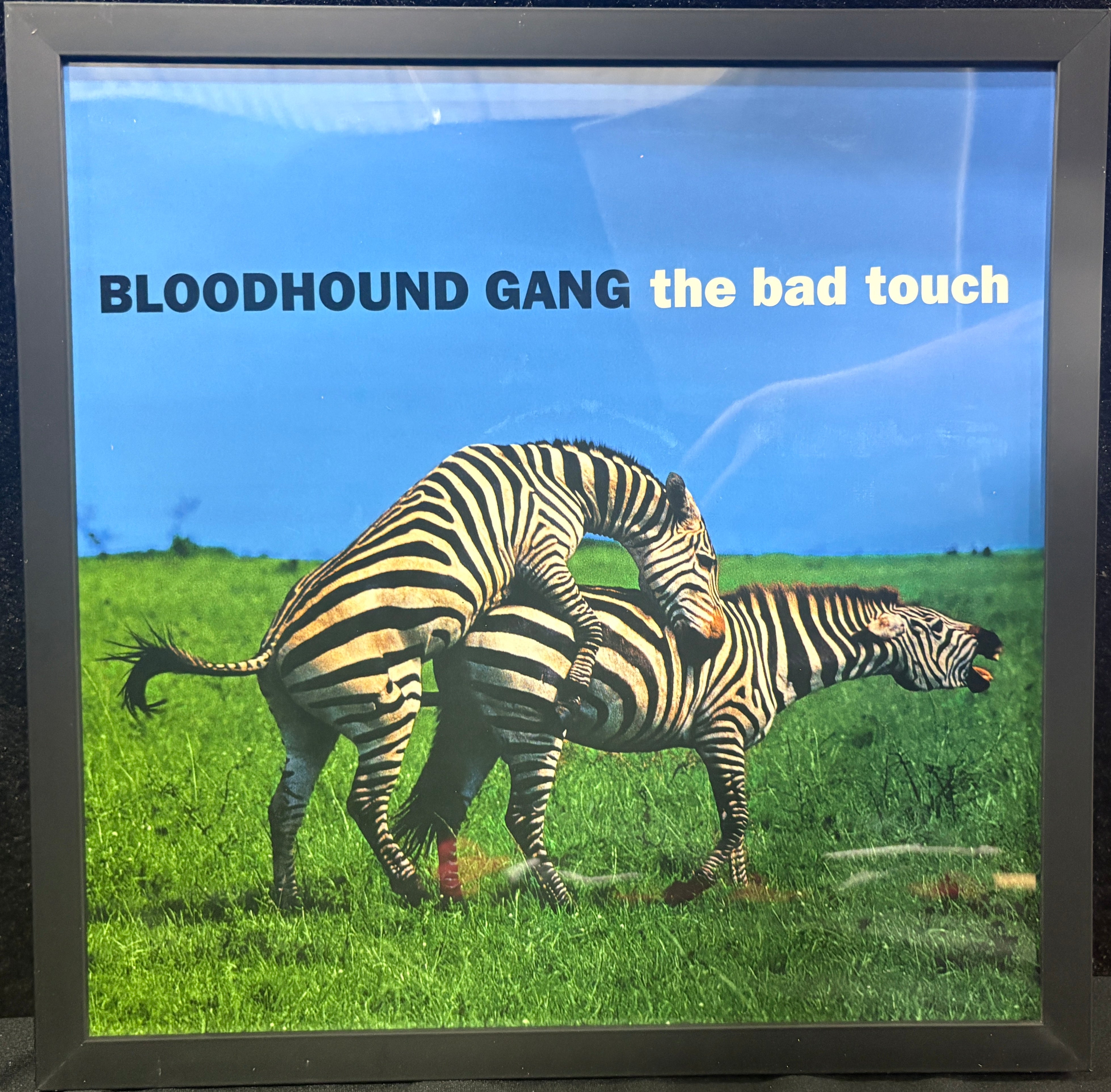 Bloodhound Gang - The Bad Touch 12
