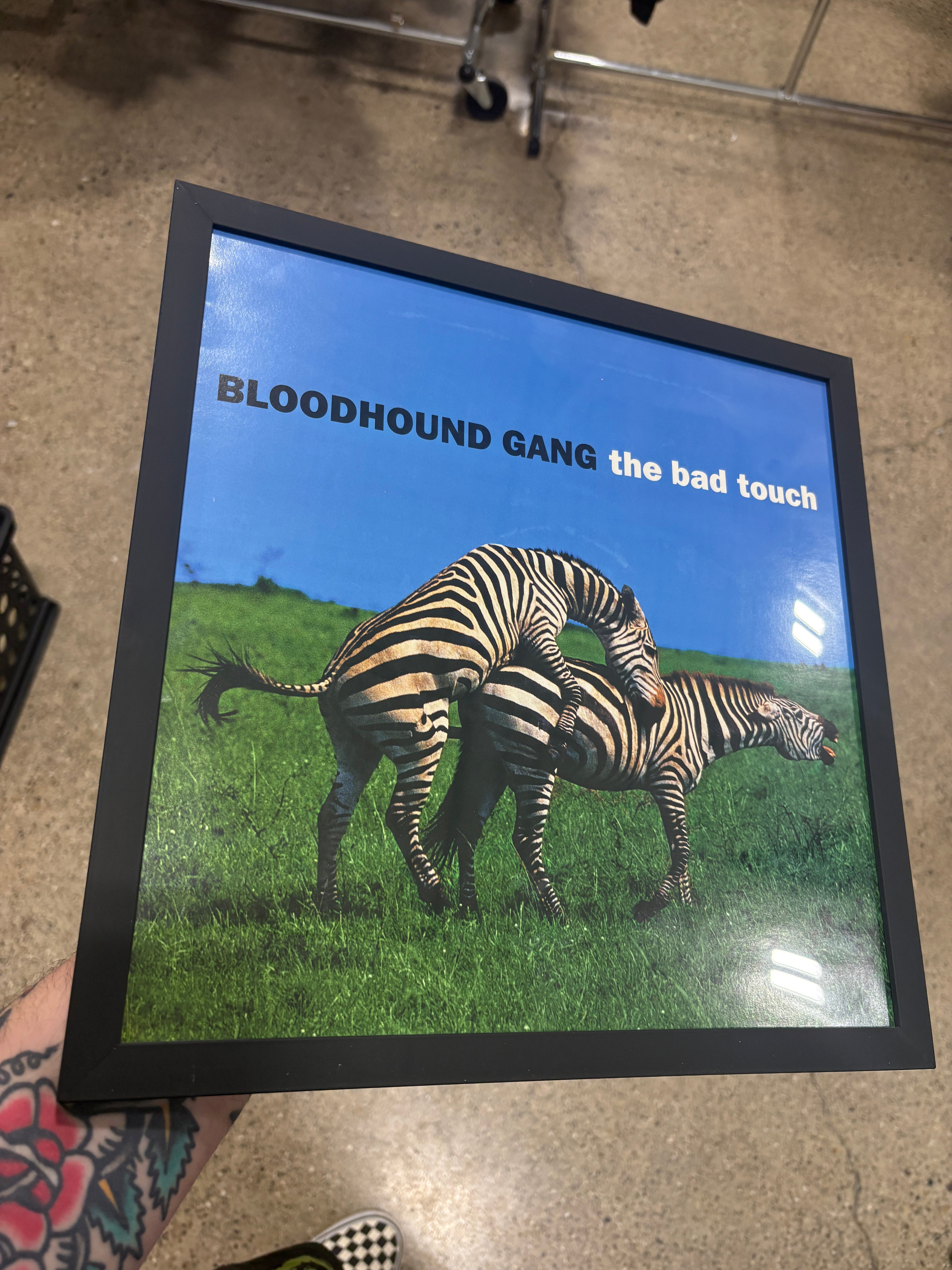 BLOODHOUND GANG レコード Bloodhound Gang - The Bad Touch 12