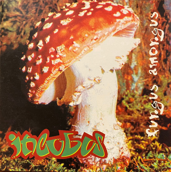 Incubus - Fungus Amongus vinyl album cover