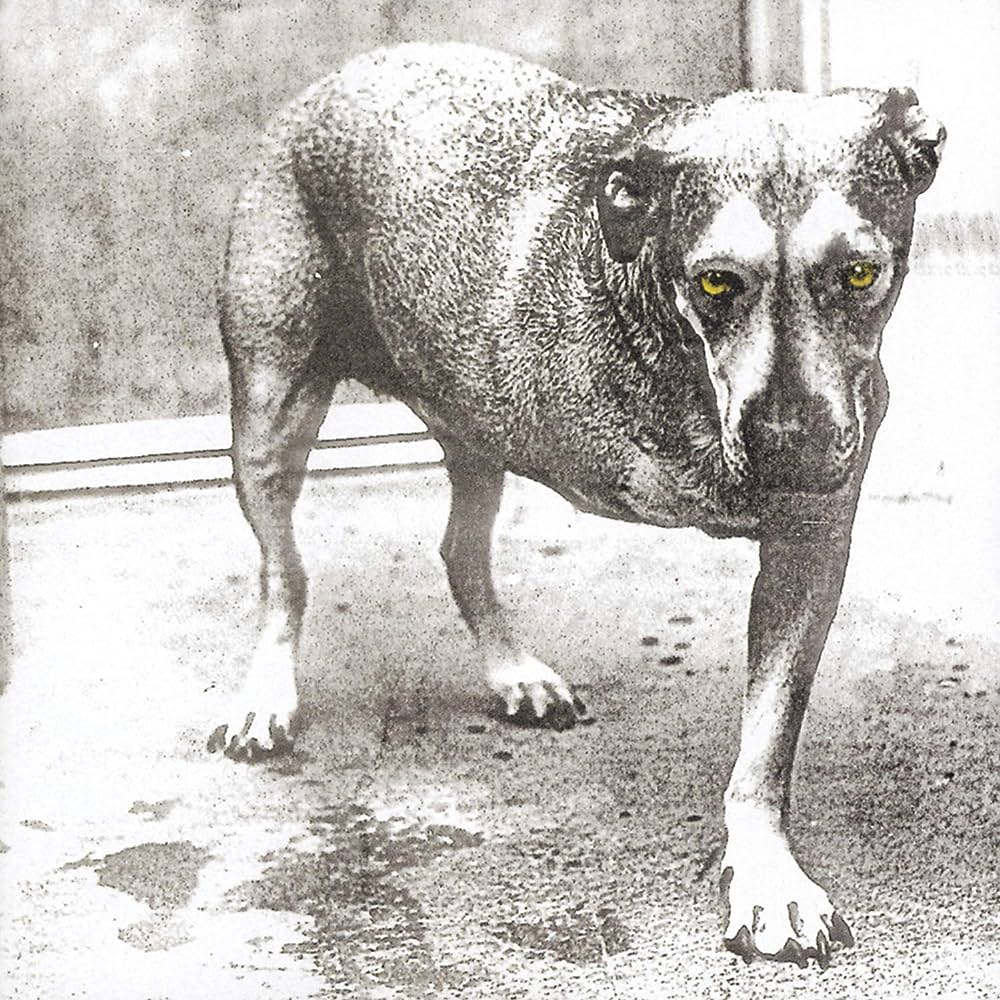 Alice In Chains - Alice In Chains vinyl album cover