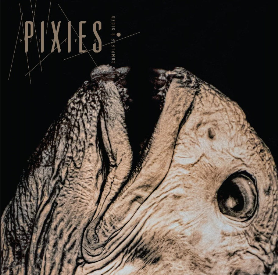 Pixies - Complete B Sides vinyl album cover