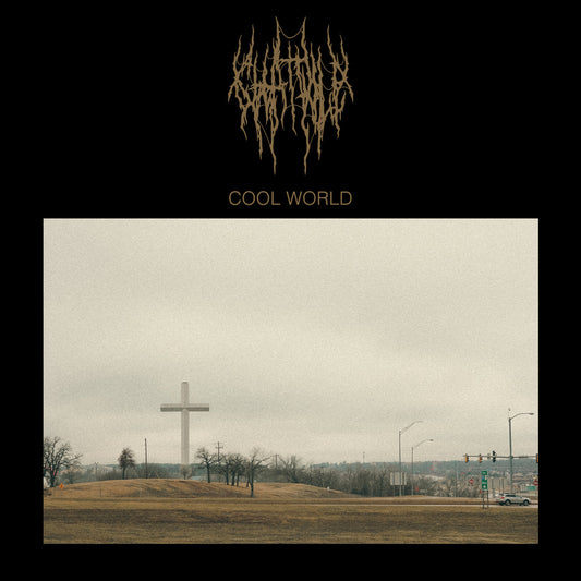 Chat Pile - Cool World vinyl album cover