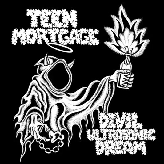 Teen Mortgage - Devil Ultrasonic Dream vinyl album cover