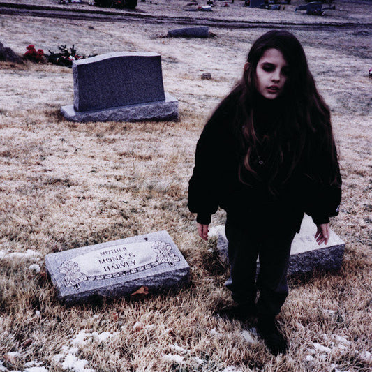 Crystal Castles - II vinyl album cover