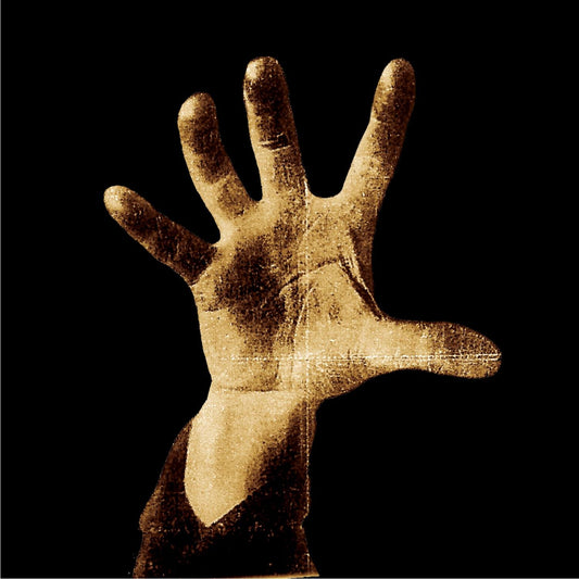  System Of A Down - System Of A Down (used) vinyl album cover