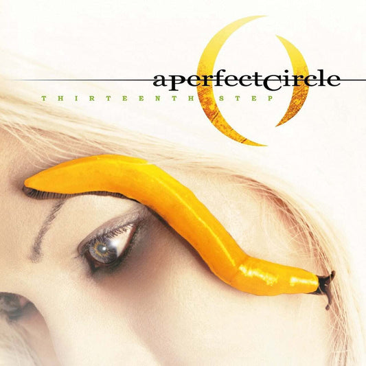 A Perfect Circle - Thirteenth Step vinyl album cover