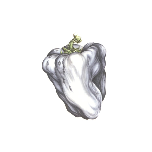 Ween - White Pepper vinyl album cover